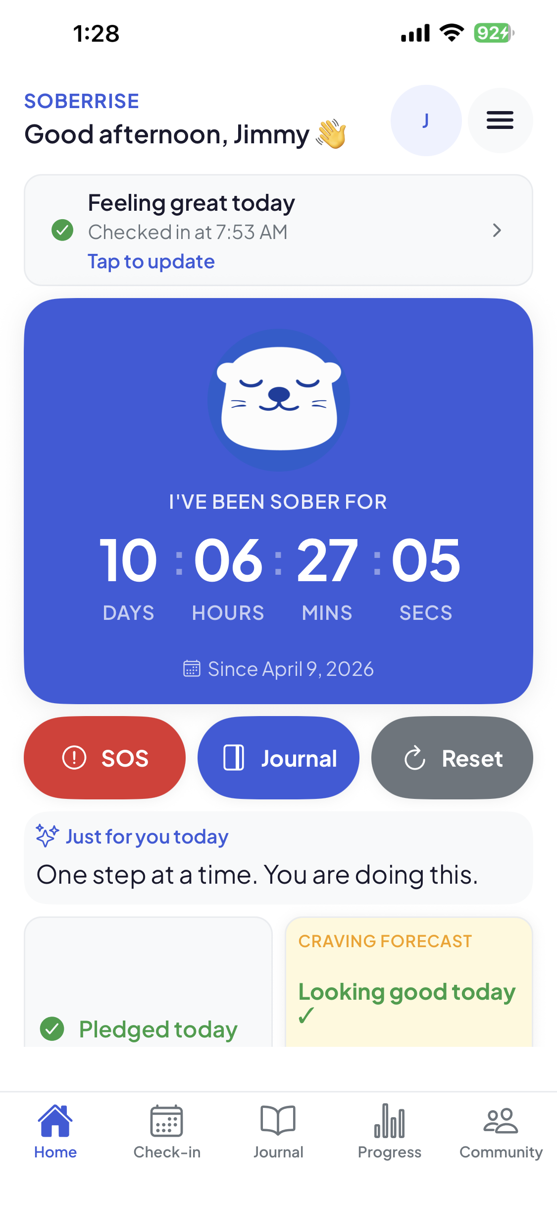 SoberRise app home screen preview