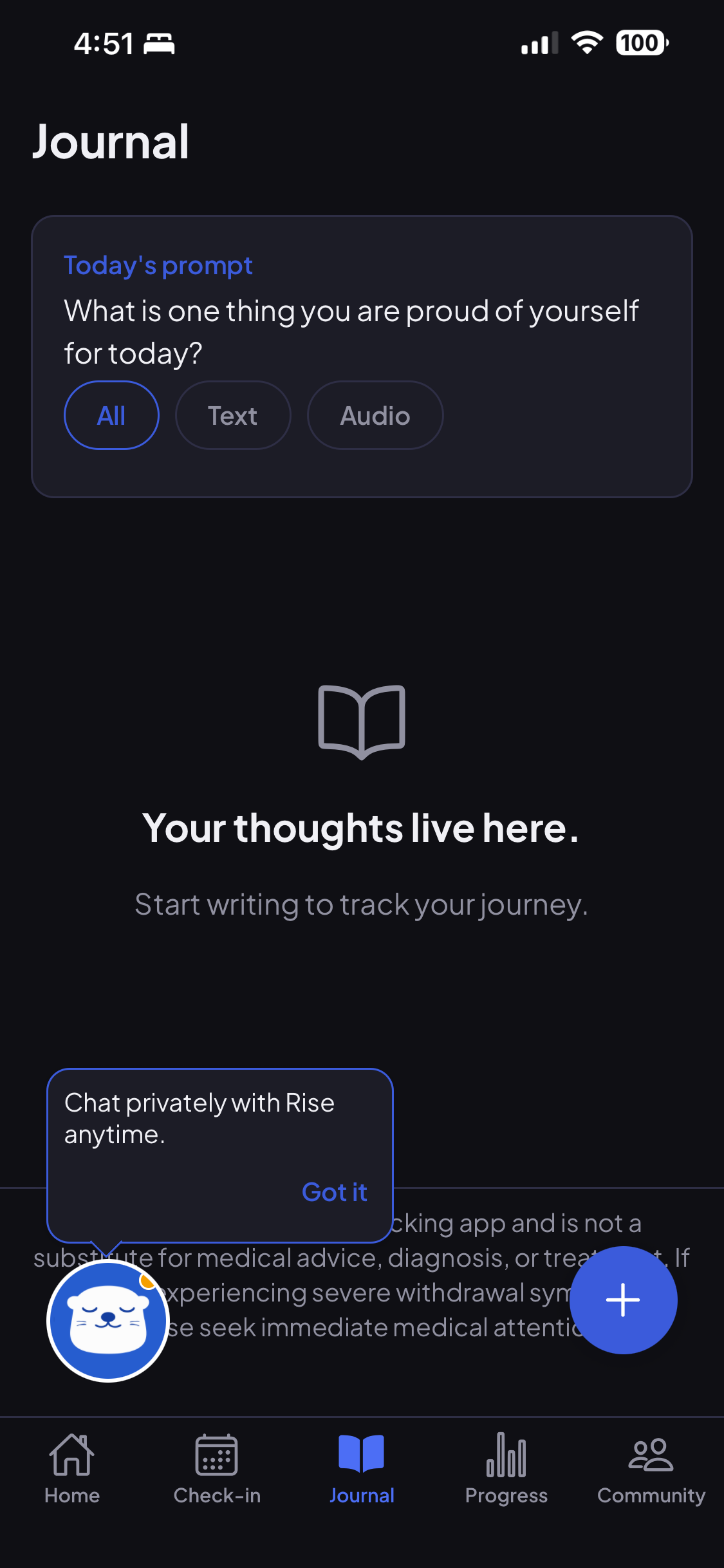 SoberRise private journal on iPhone